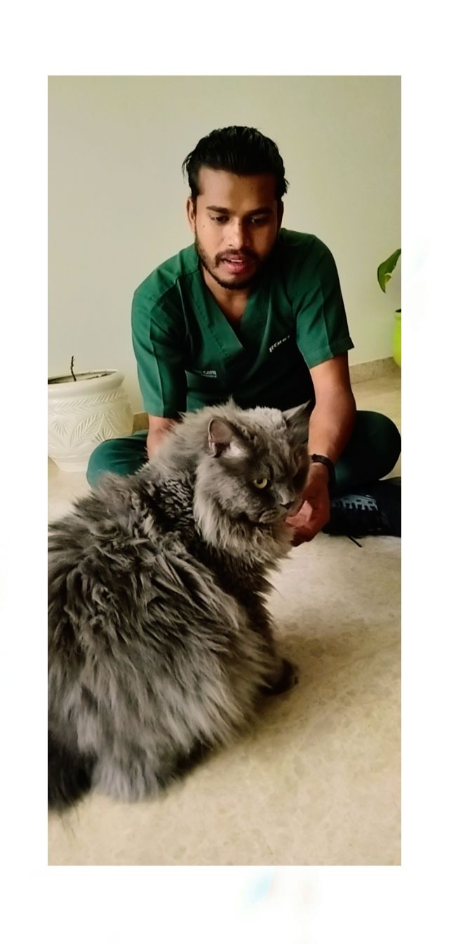 Pet Care